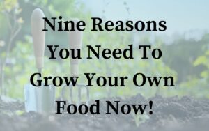 9 reasons you need to grow food now