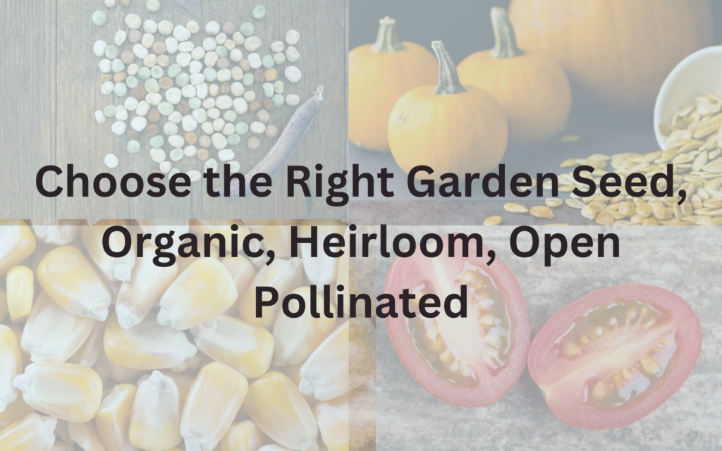 Choose the right Garden seed: Organic, heirloom, open pollinated Image with garden seeds of peas, pumpkins, corn and tomatoes.