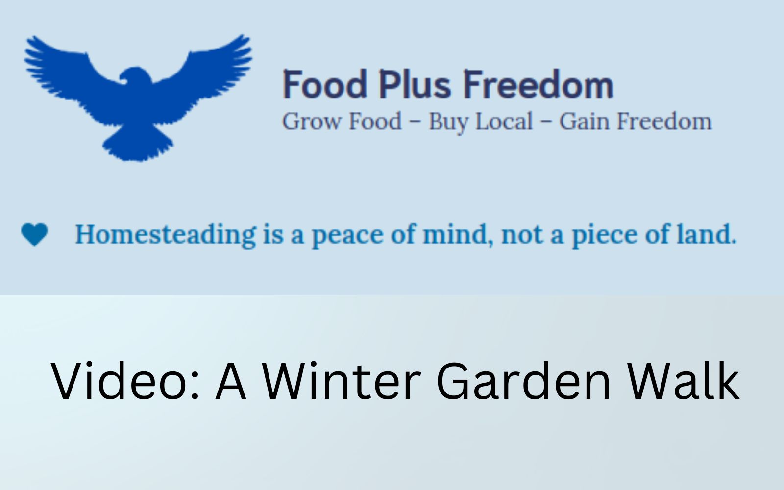 Video - A winter garden walk