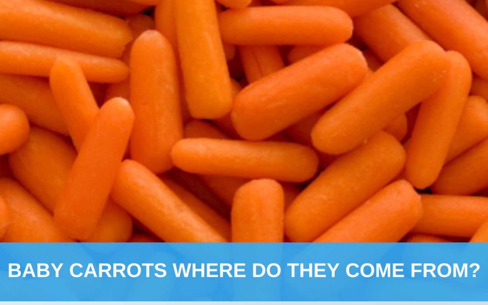 Baby carrots where do they come from?