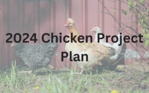 2024 Chicken Project Plan