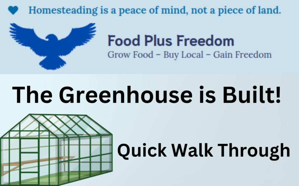 Greenhouse is built - Quick walk through