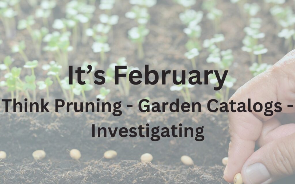 It's February Think Pruning, Garden Catalog, Investigating