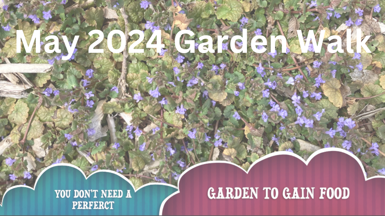 May 2024 Garden Walk