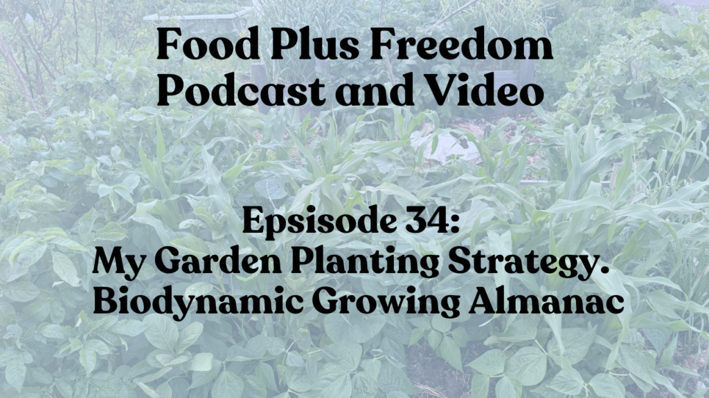 Episode 34: Gardening Planting Strategy with Biodynamics