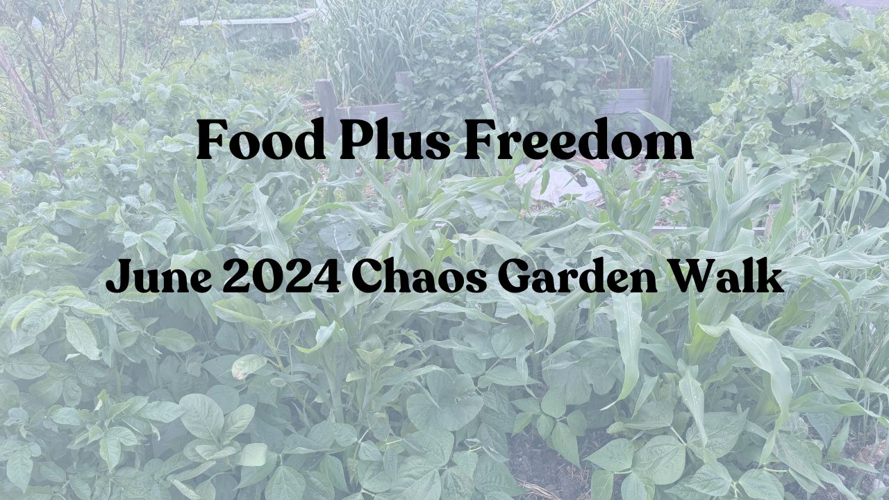 June Garden Chaos Walk