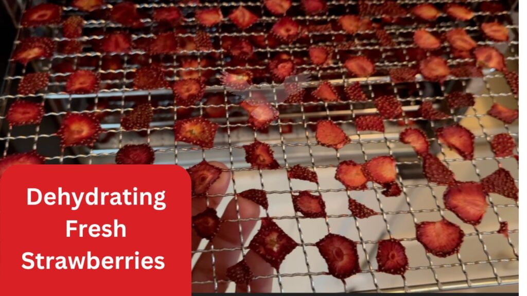 Dehydrate fresh strawberries