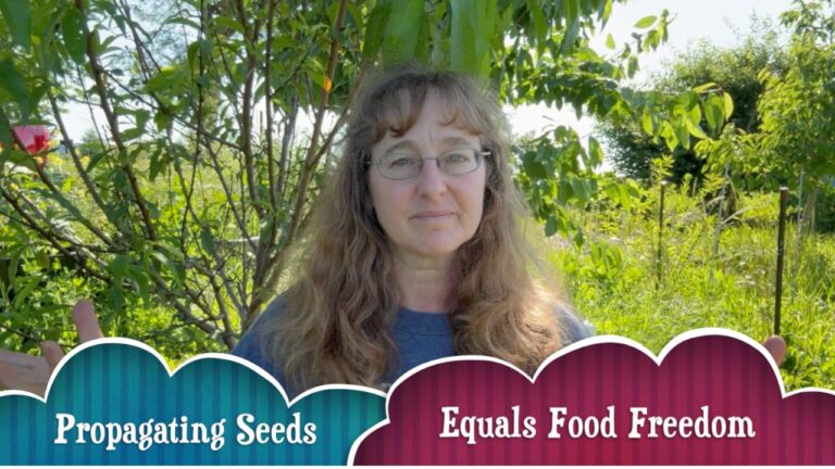 Propagating Seeds Equals Food Freedom