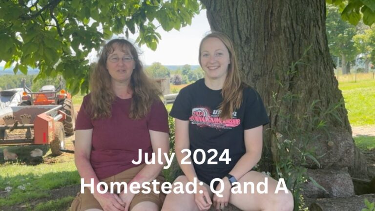 July 2024 Homestead Q and A