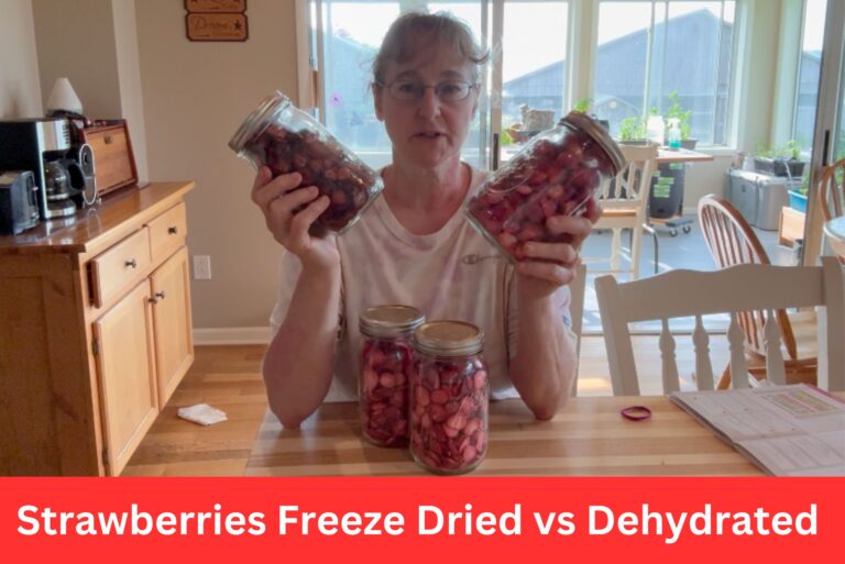 Freeze drying vs. dehydrating fresh strawberries