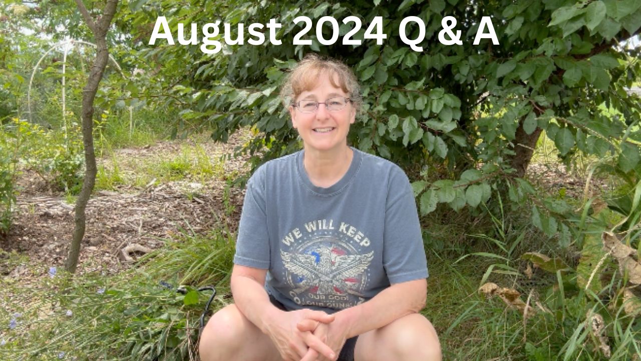 Homesteading August 2024 Q & A