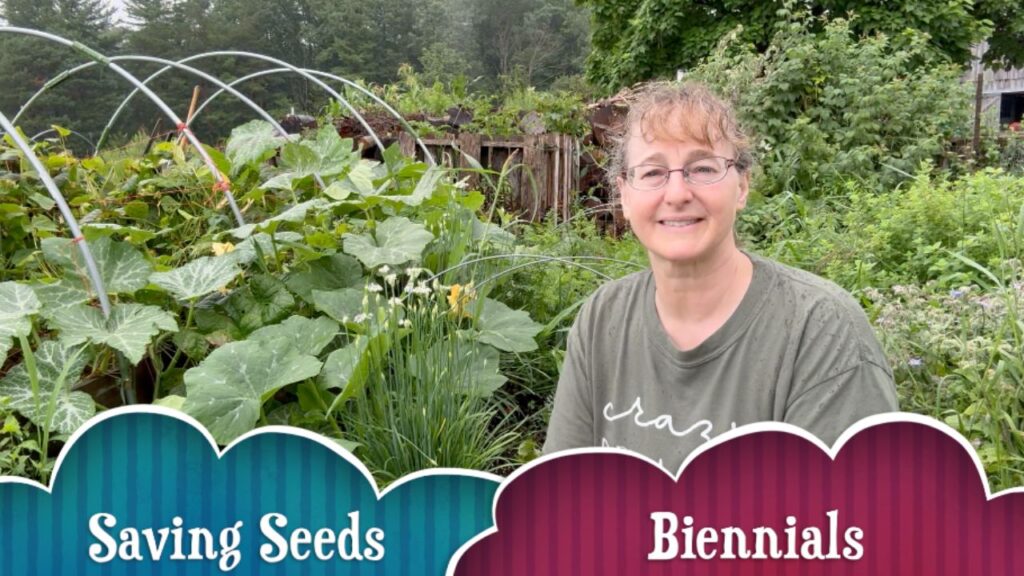 Biennials vegetables podcast