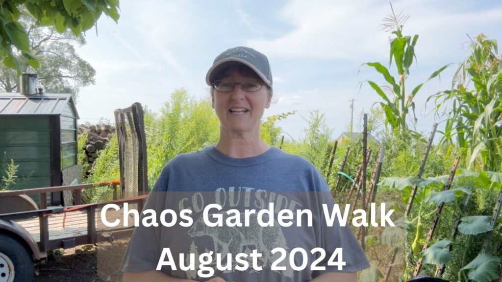 Chaos Garden August 2024