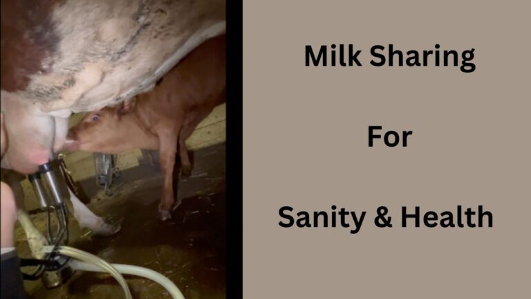 Milk Sharing