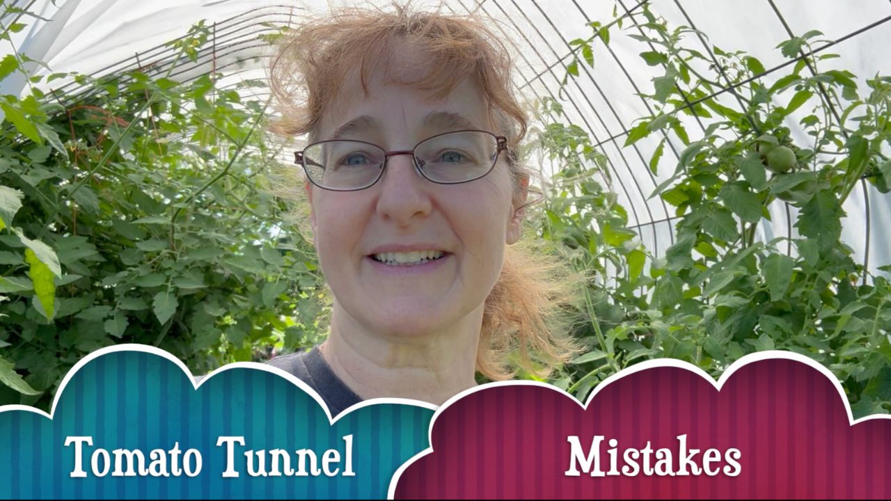 Tomato Tunnel Mistakes