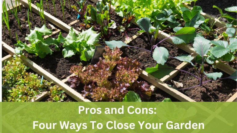 Pros and Cons: Four Ways To Close Your Garden