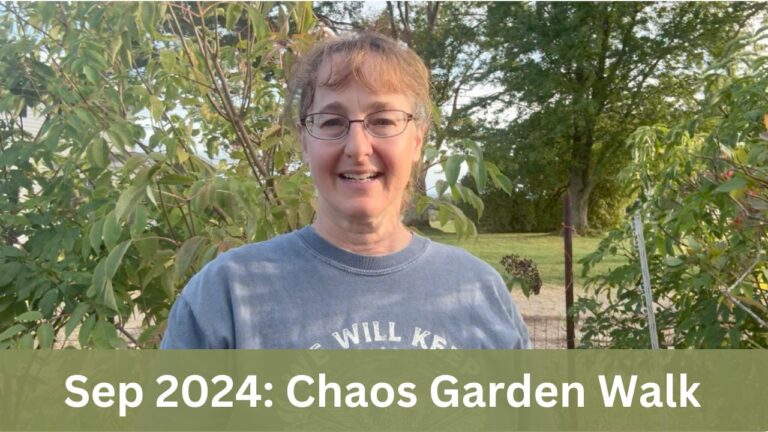 Chaos Garden Walk September 2024