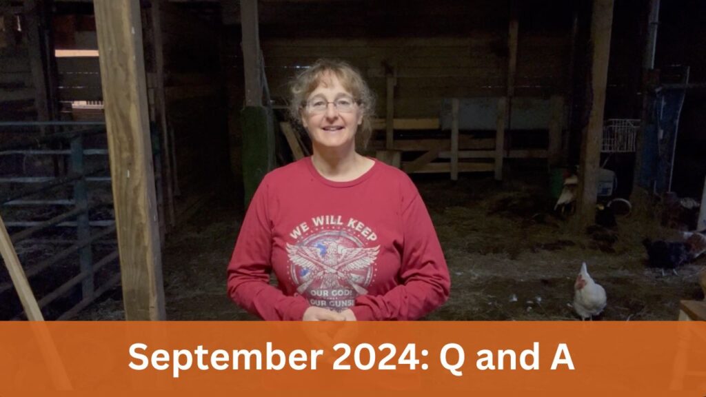 September 2024 Q and A