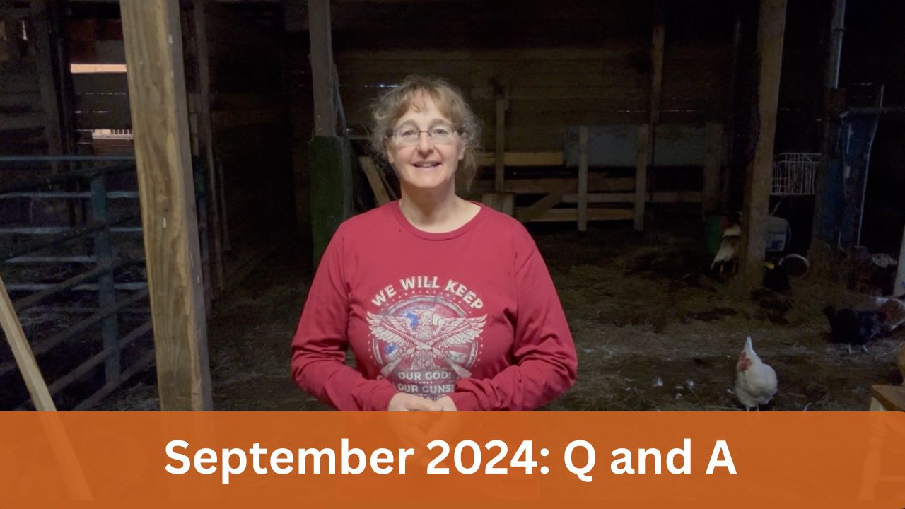 September 2024 Q and A