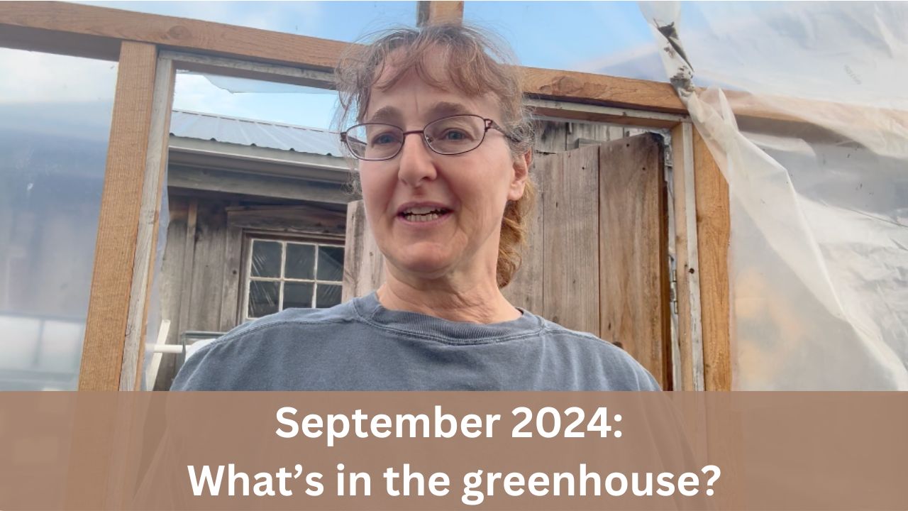 What's in the Greenhouse: September 2024