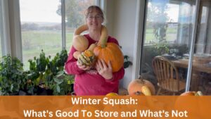 Winter Squash What's Good To Store and What's Not