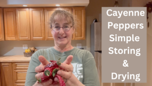 Cayenne Pepper Stringing For Food Storage, Decoration, and Seeds