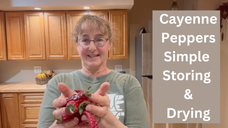 Cayenne Pepper Stringing For Food Storage, Decoration, and Seeds