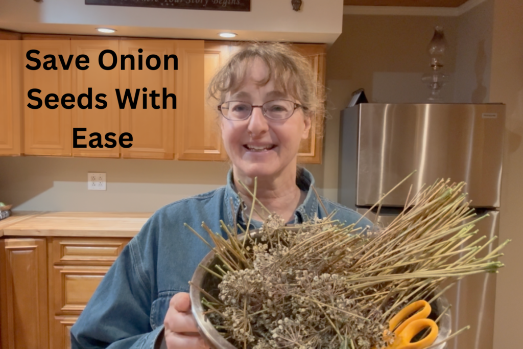 Save Onion Seeds with Ease