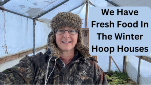 Fresh Food in the hoop House