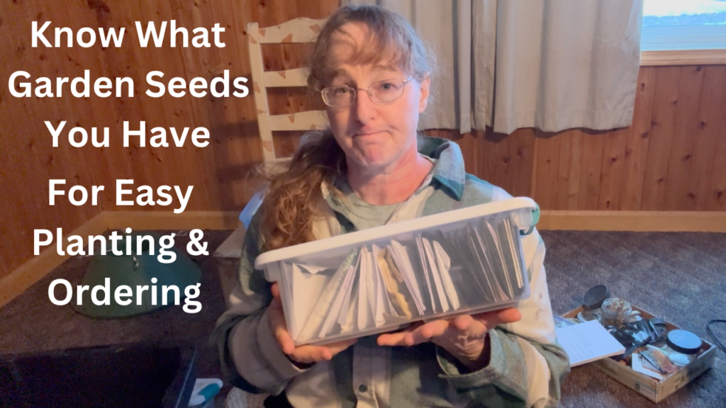 Organize Your Seeds for Maximum Garden Productivity