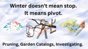 Winter doesn't mean stop. It means pivot.