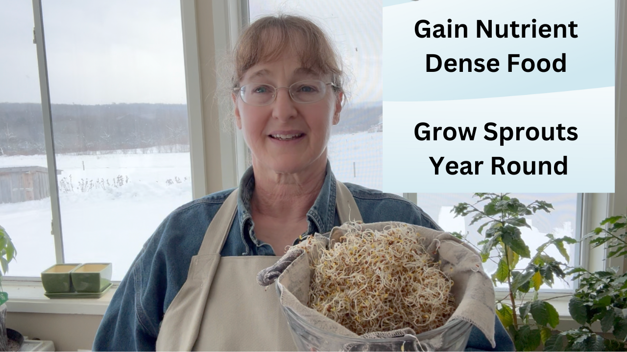 Sprouting Seeds for health