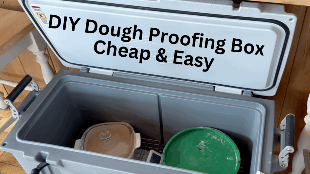 Dough Proofing Box