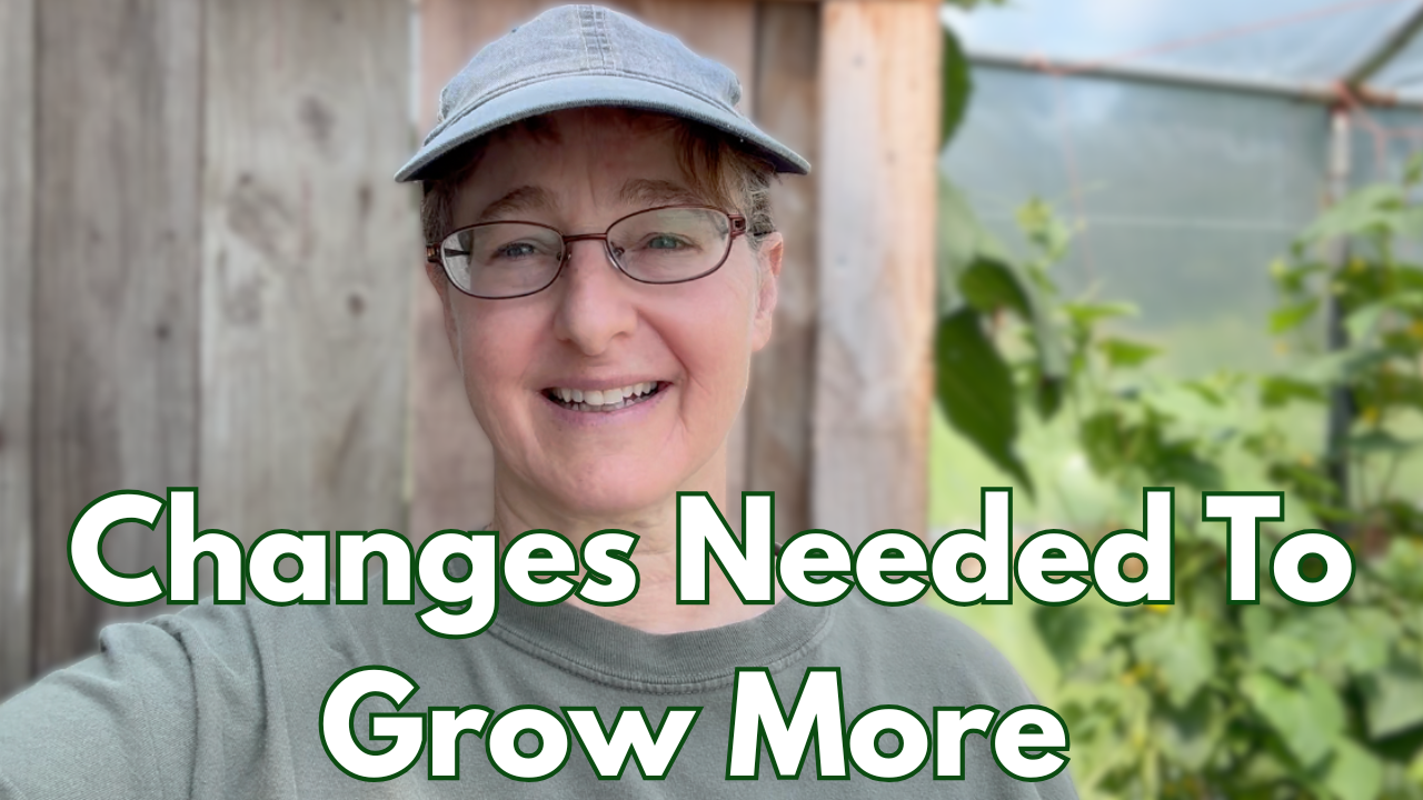 Changes in the greenhouse to grow more food.