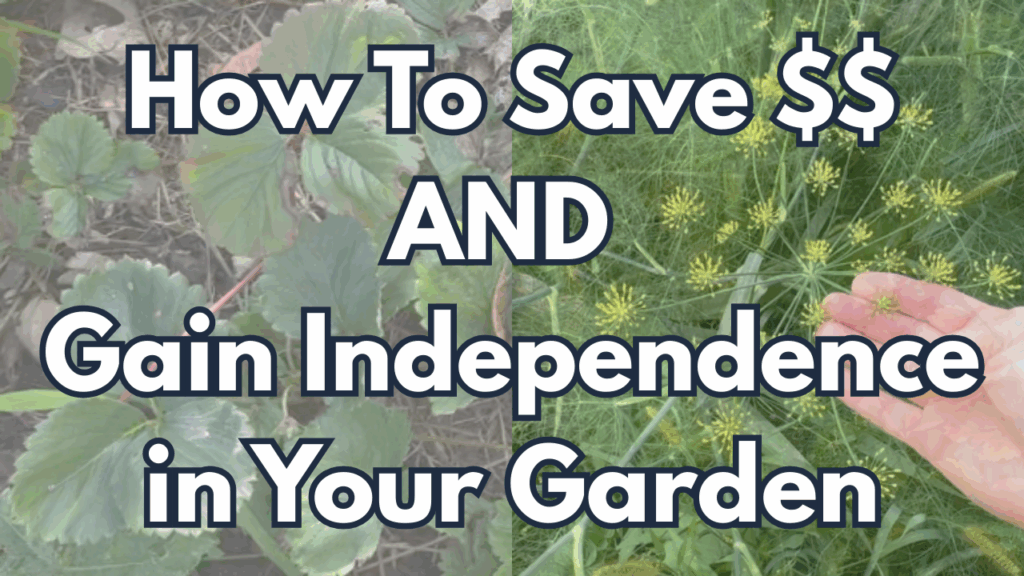 Saving money and gaining independence in your garden